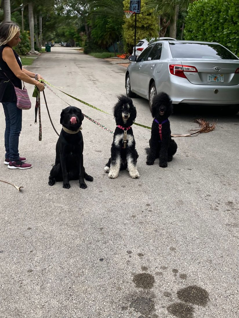 Group walk