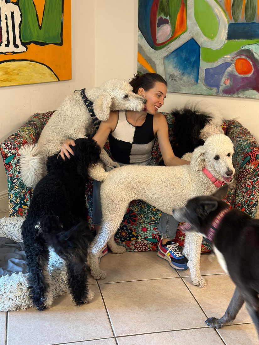 Dogs at The Caring Paws