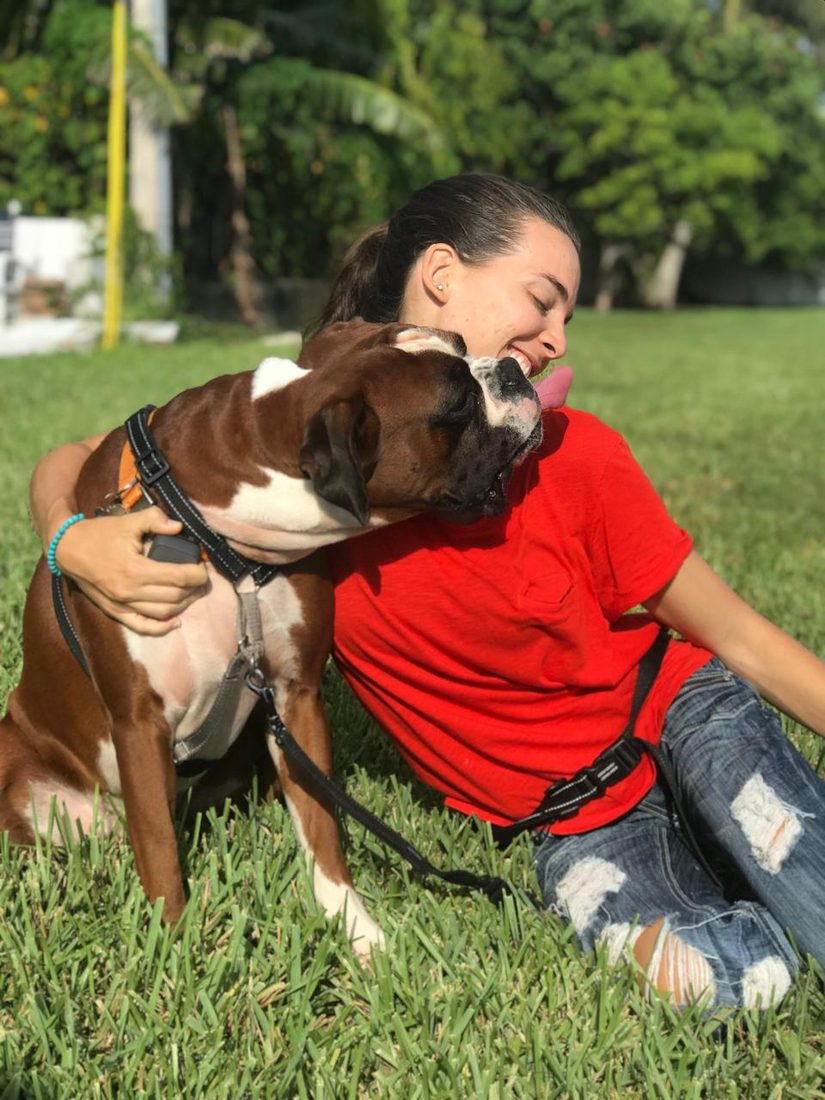 Dogs at The Caring Paws
