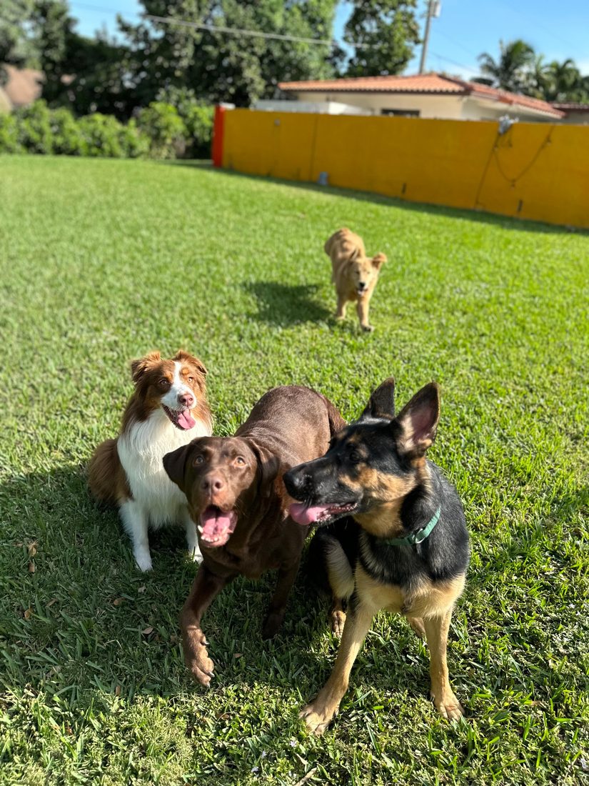 Play yard