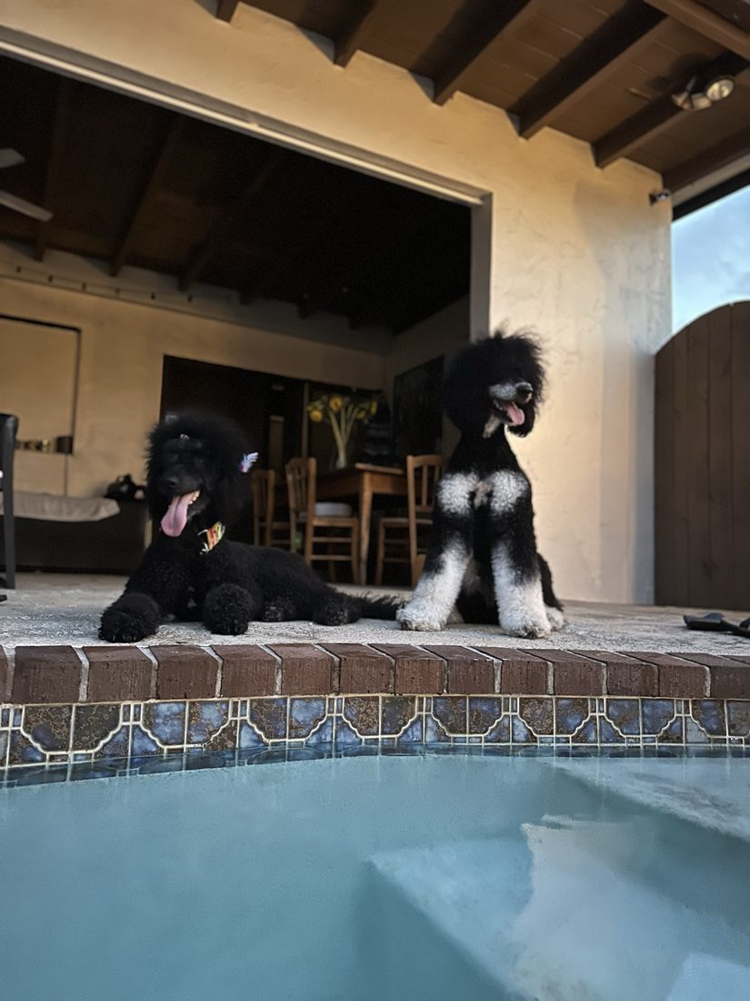 Pool day